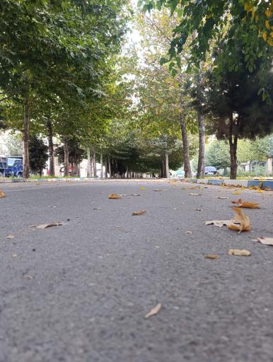 عکس جویبار