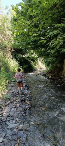 عکس استراحتگاه جنگلی ارغوان دره