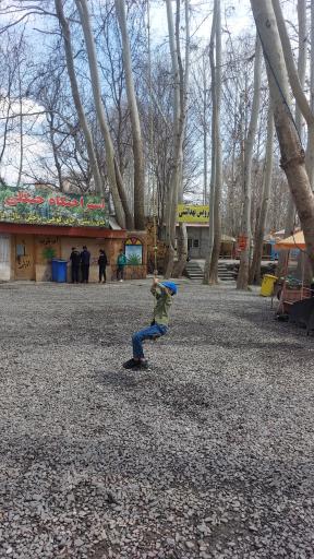 عکس استراحتگاه جنگلی ارغوان دره