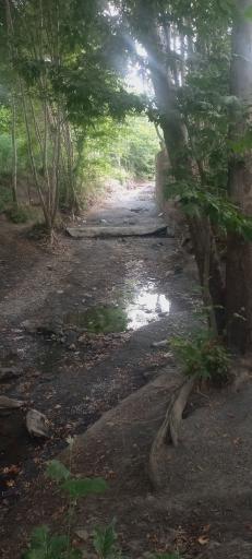 عکس استراحتگاه جنگلی ارغوان دره