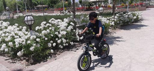 عکس پارک تفریحی و خانواده استخر پایگاه هوایی شهید بابایی