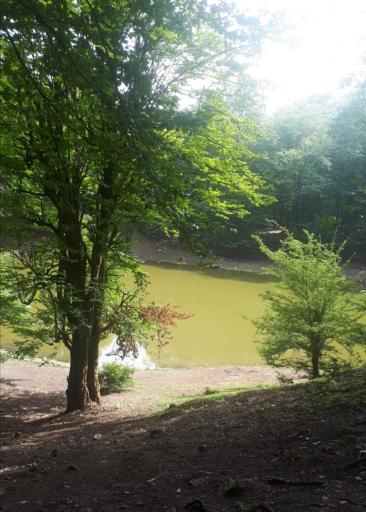 عکس مرداب هسل