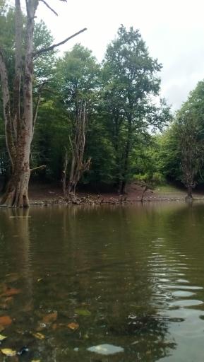 عکس مرداب هسل