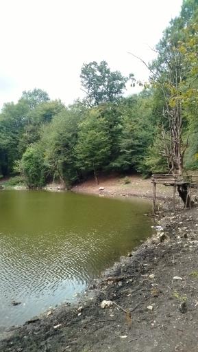 عکس مرداب هسل