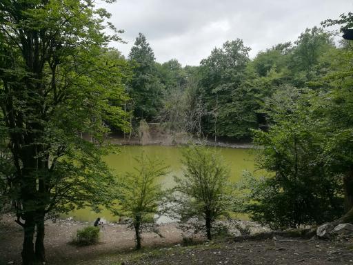 عکس مرداب هسل