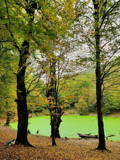 عکس مرداب هسل