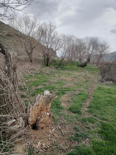 بهشت پرندگان 