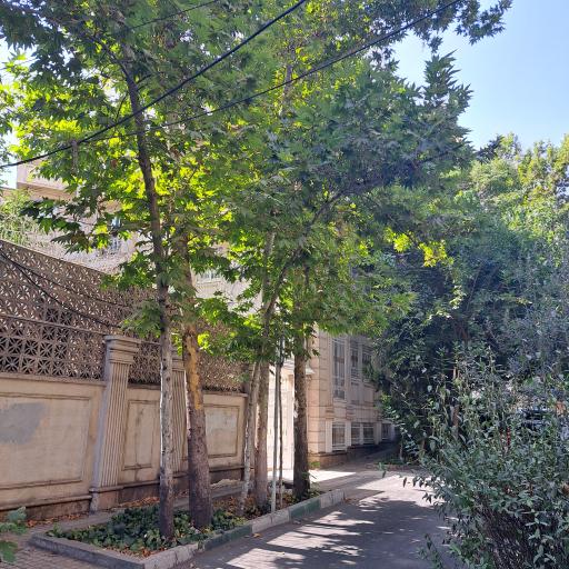 عکس ساختمان صدف پاسدارن