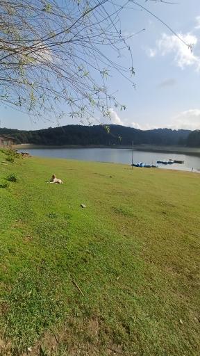 عکس مجتمع گردشگری دریاچه سقالکسار