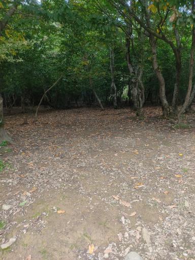 عکس مجتمع گردشگری دریاچه سقالکسار