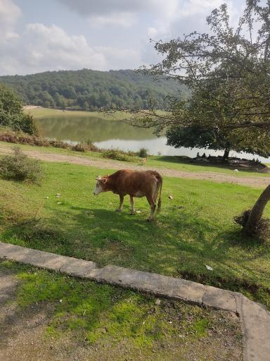 عکس مجتمع گردشگری دریاچه سقالکسار