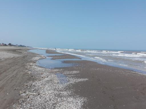 عکس ساحل بابلسر