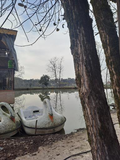 عکس مجتمع گردشگری دریاچه سقالکسار