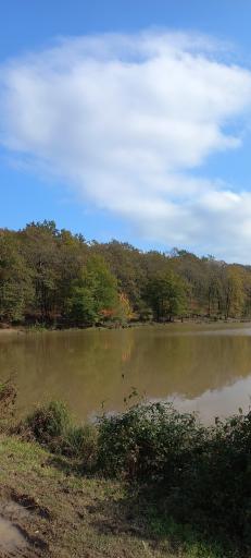 عکس مجتمع گردشگری دریاچه سقالکسار