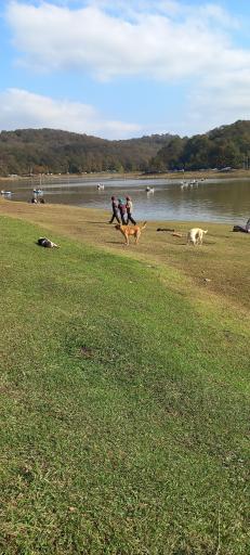 عکس مجتمع گردشگری دریاچه سقالکسار