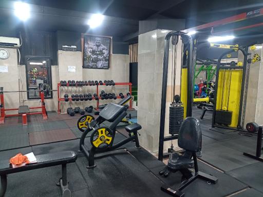 عکس باشگاه بدنسازی کاوش