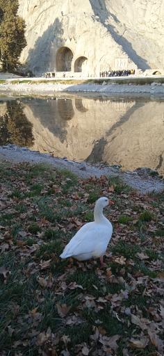 عکس مجموعه تاریخی تفریحی طاق بستان