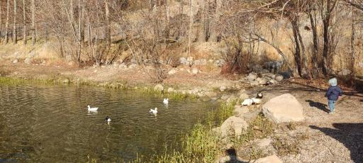 عکس مجموعه تاریخی تفریحی طاق بستان