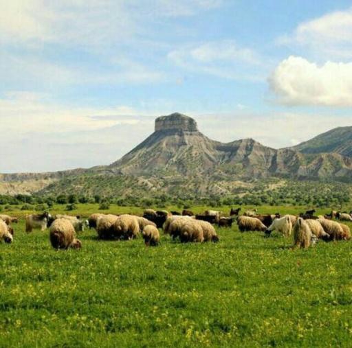 عکس منطقه تفریحی بانخاکی
