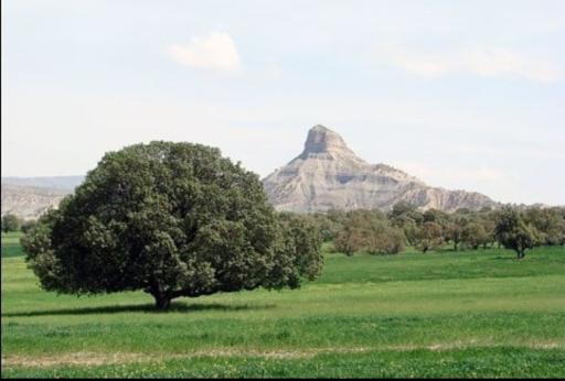 منطقه تفریحی بانخاکی