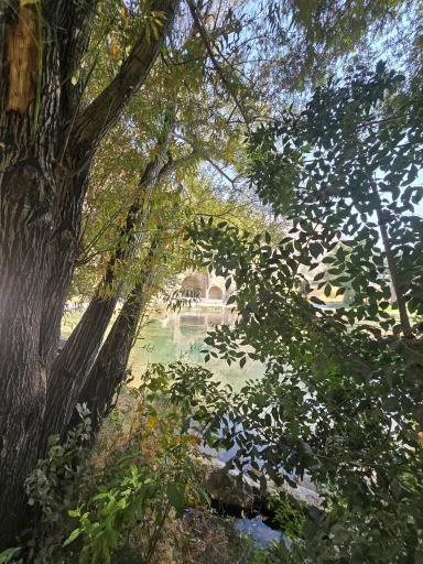 عکس مجموعه تاریخی تفریحی طاق بستان