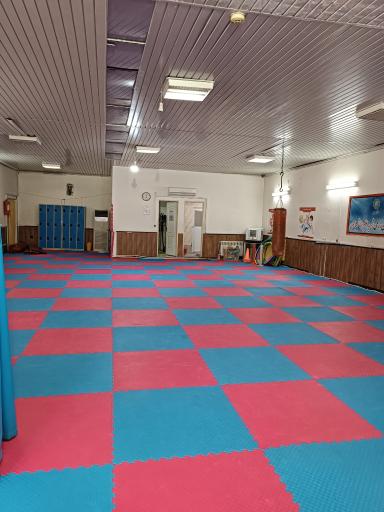 عکس سالن ورزشهای رزمی شهید علیرضا شهبازی