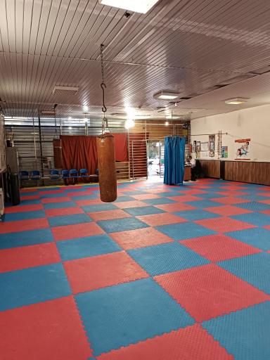 عکس سالن ورزشهای رزمی شهید علیرضا شهبازی