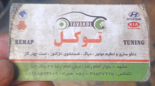 عکس کاربرات سازی توکل