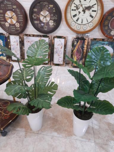 عکس گالری سنایی