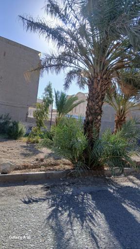 عکس بوستان معلم