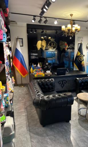 عکس پت شاپ پامرکده