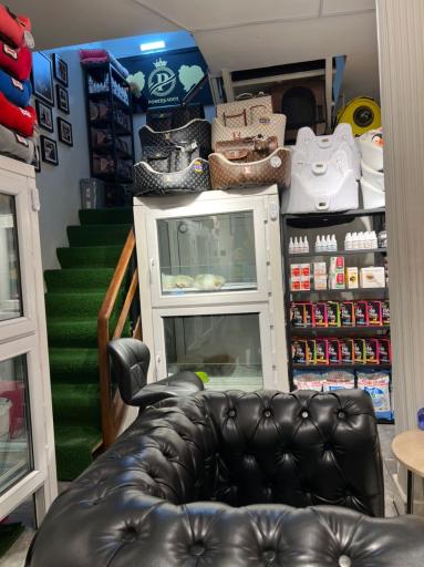 عکس پت شاپ پامرکده