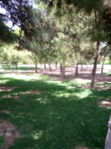 عکس پارک شبنم