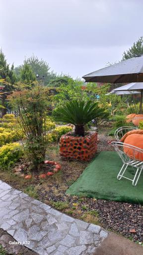 عکس مجموعه تفریحی و سرگرمی نارنجی