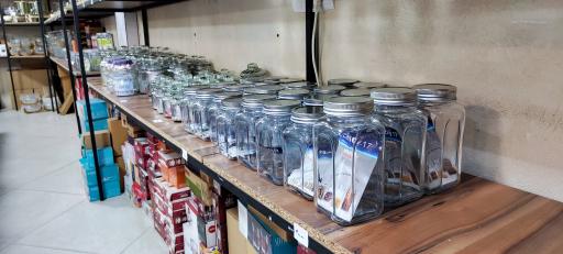 عکس کیش کالا