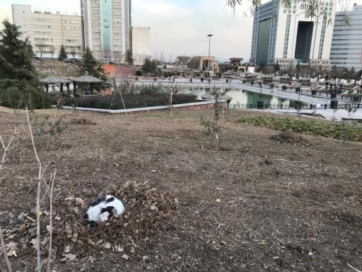 عکس بوستان نوروز