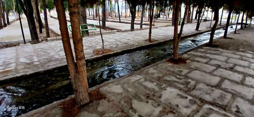 عکس بوستان شهید بهشتی