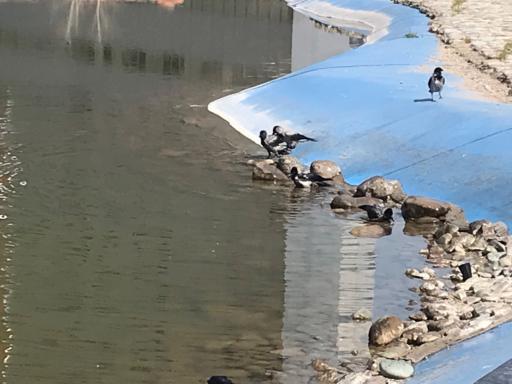 عکس بوستان نوروز