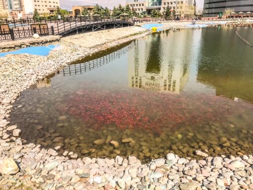 عکس بوستان نوروز