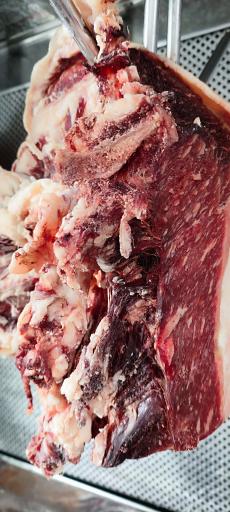 عکس کبابی یاقوت