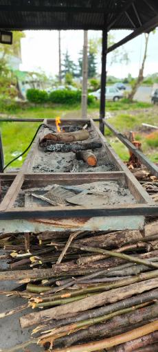 عکس کبابی یاقوت