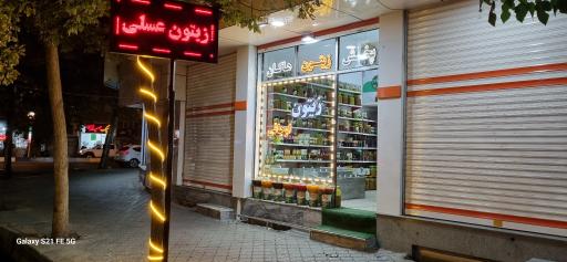 عکس زیتون اوجاقی (پخش زیتون هاکان)