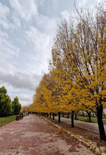 عکس اکو پارک صدرا