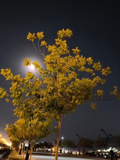 عکس اکو پارک صدرا