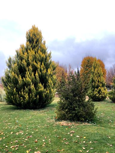 عکس اکو پارک صدرا