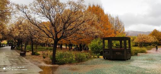 عکس اکو پارک صدرا