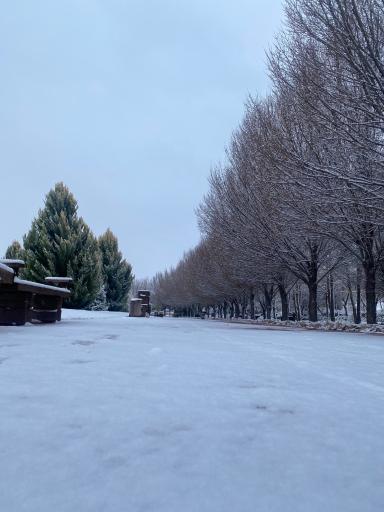 عکس اکو پارک صدرا