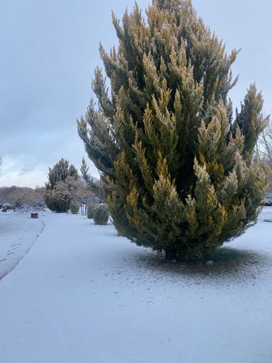 عکس اکو پارک صدرا