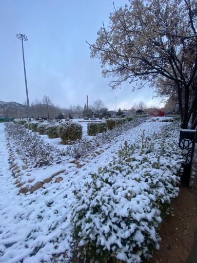 عکس اکو پارک صدرا