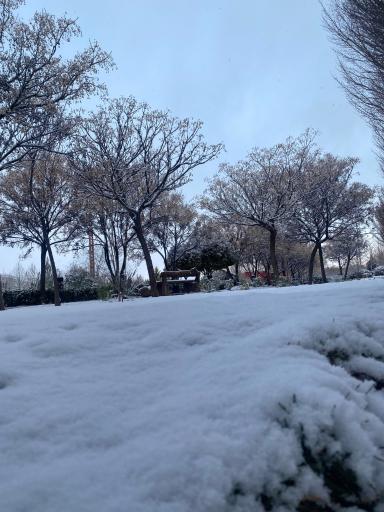 عکس اکو پارک صدرا